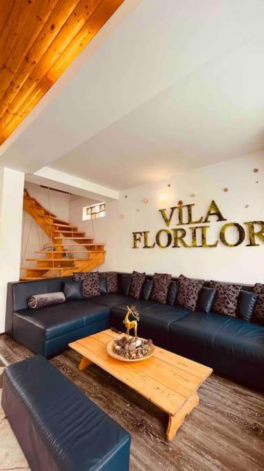Vila Florilor Buşteni 外观 照片
